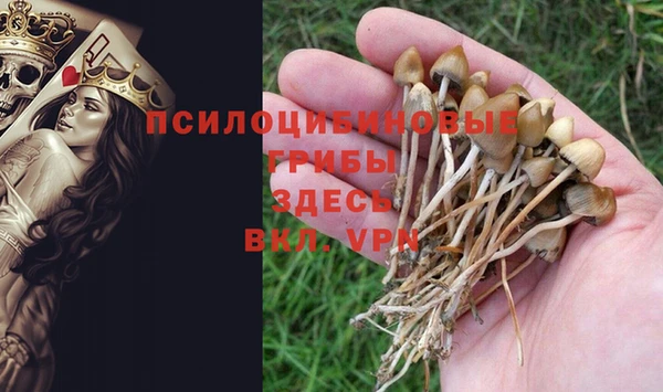 марки nbome Верхний Тагил