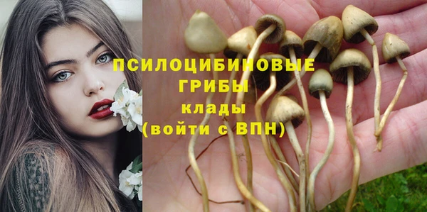 COCAINE Верхнеуральск